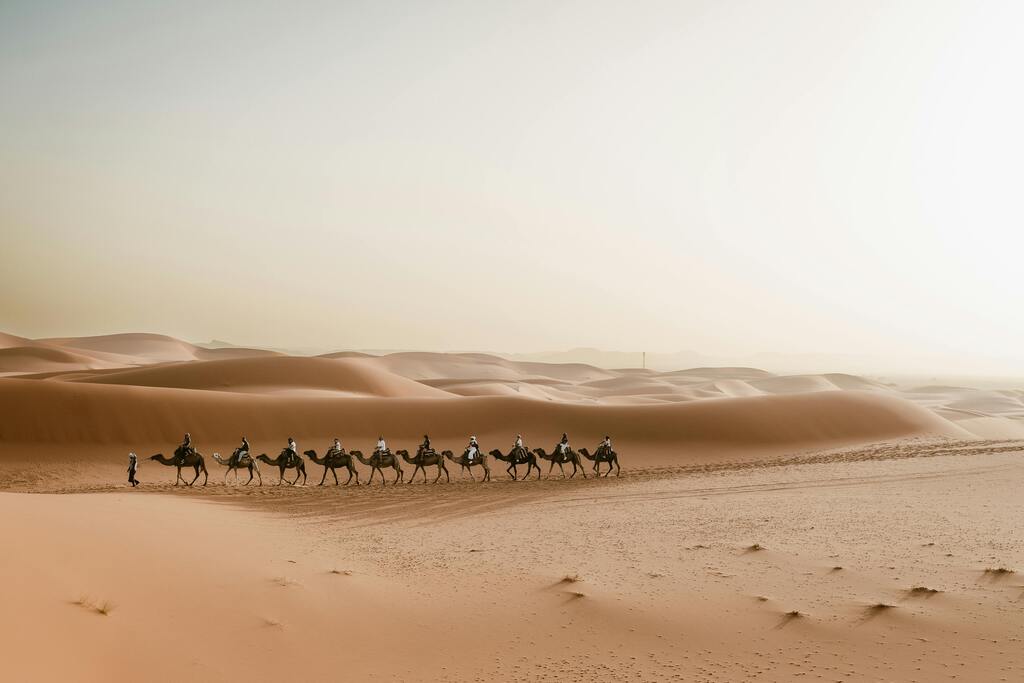 Kamelkarawane in der Sahara bei Sonnenaufgang, die goldenen Sanddünen durchquerend.