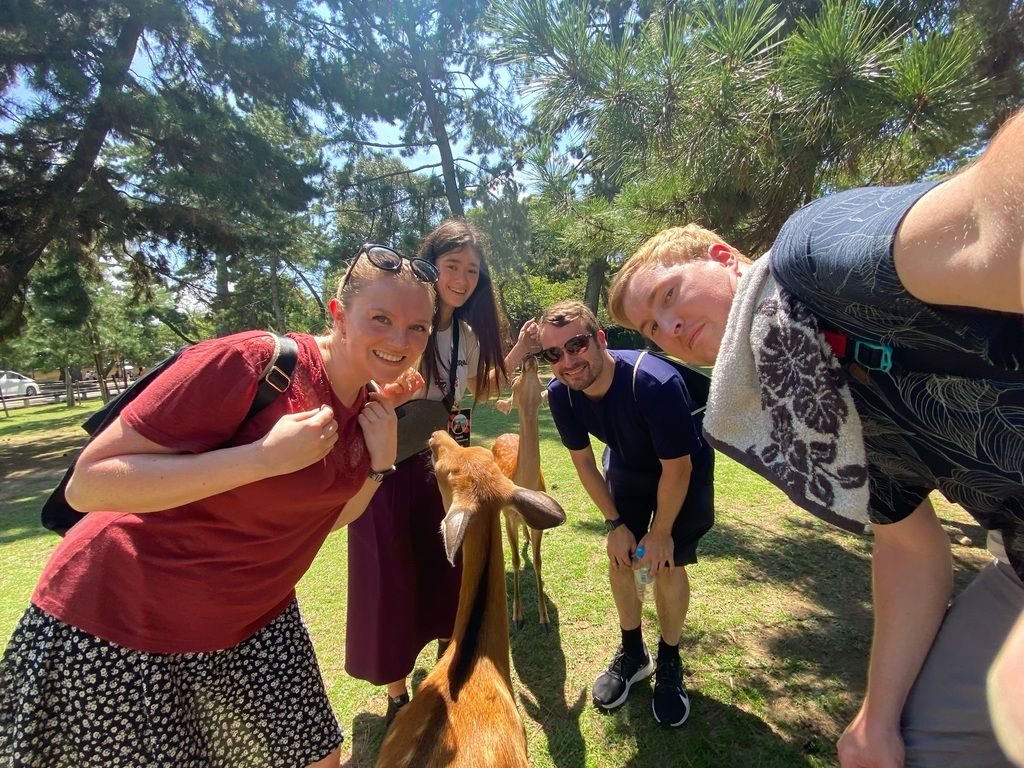 WeRoad Gruppenreise nach Nara, Japan – Eine Gruppe von WeRoad-Reisenden genießt den Nara Park und interagiert mit den freundlichen Sikahirschen, einer der Hauptattraktionen der Stadt.