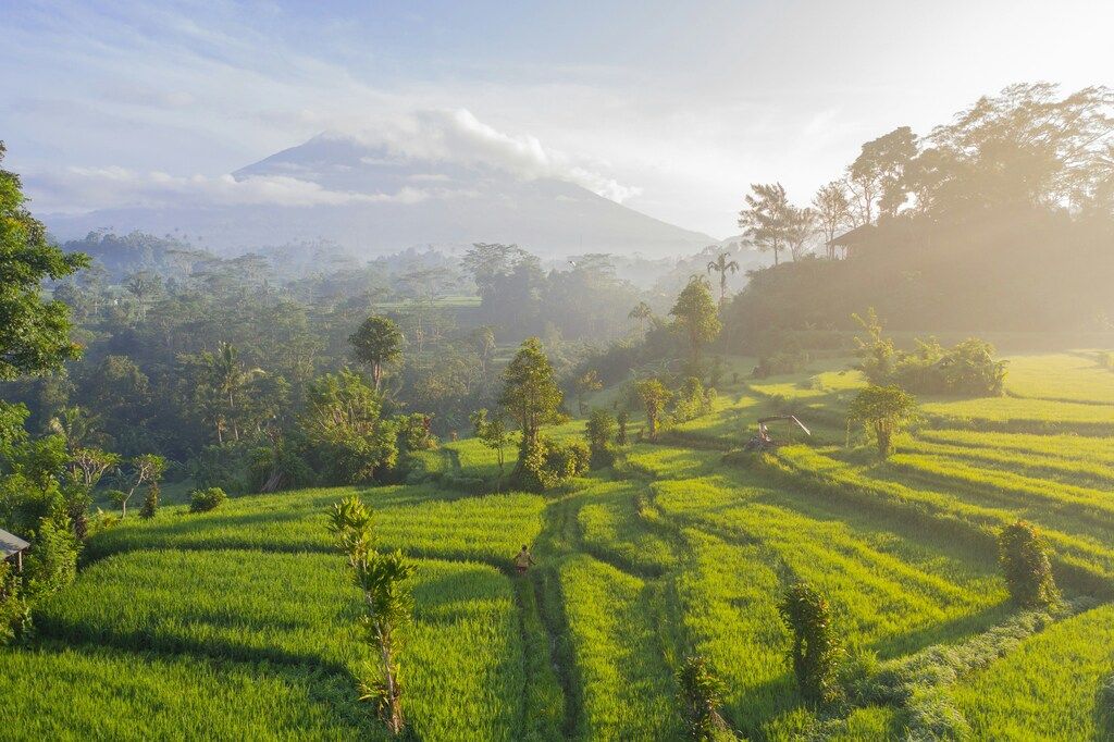 Reisterrassen bei Sonnenaufgang in Bali mit Vulkan im Hintergrund