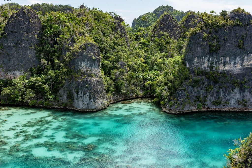 Üppige tropische Vegetation und kristallklares Wasser in Raja Ampat, Indonesien