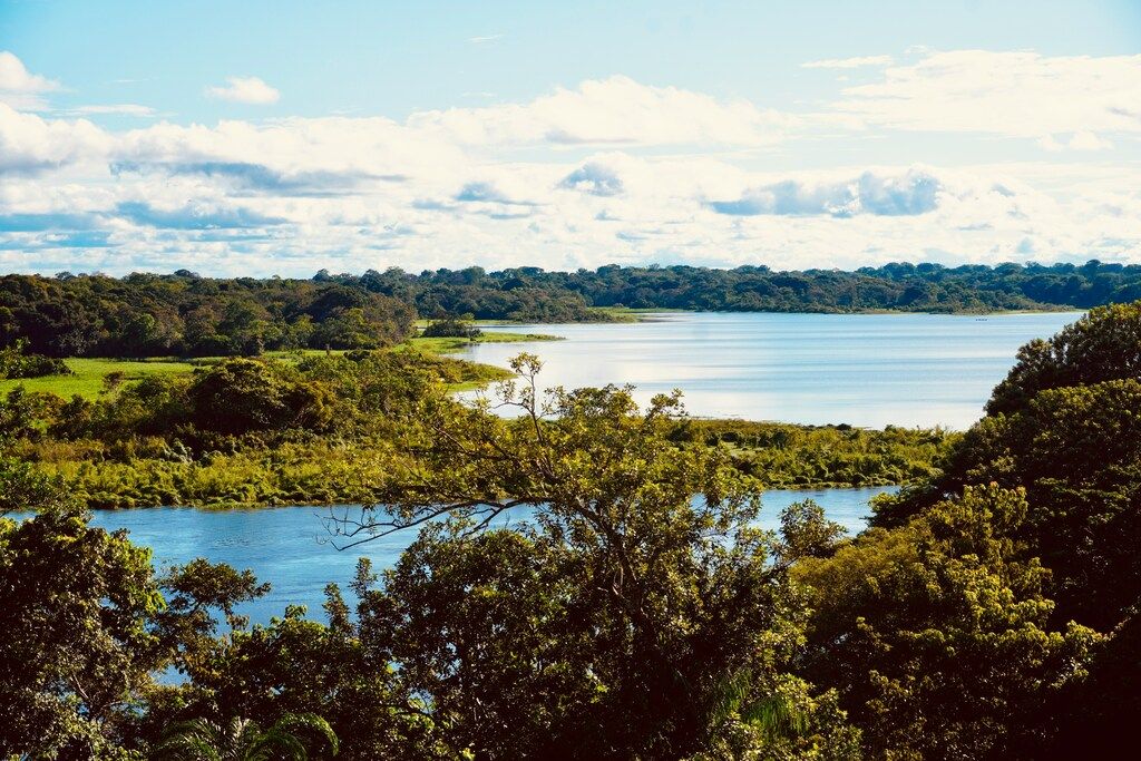 Üppige Amazonaslandschaft mit Fluss in Kolumbien