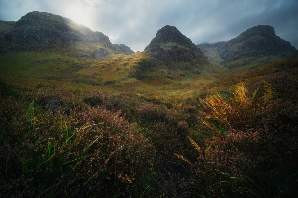 Blick auf die Three Sisters von Glencoe mit herbstlicher Vegetation im Vordergrund