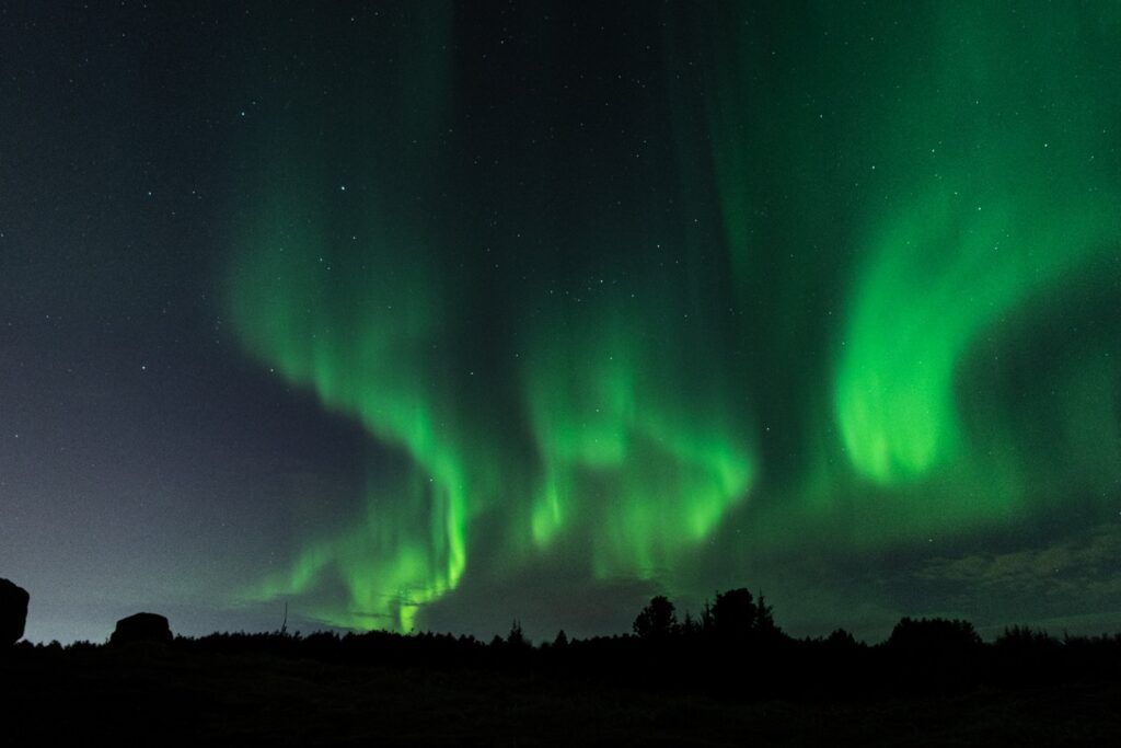 Intensive grüne Nordlichter über einer dunklen Waldsilhouette.