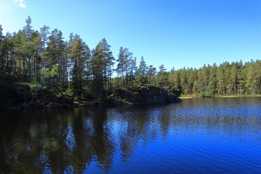 Ruhiger Waldsee im Tiveden Nationalpark, mit dunklen Spiegelungen und bewachsener Felsküste.