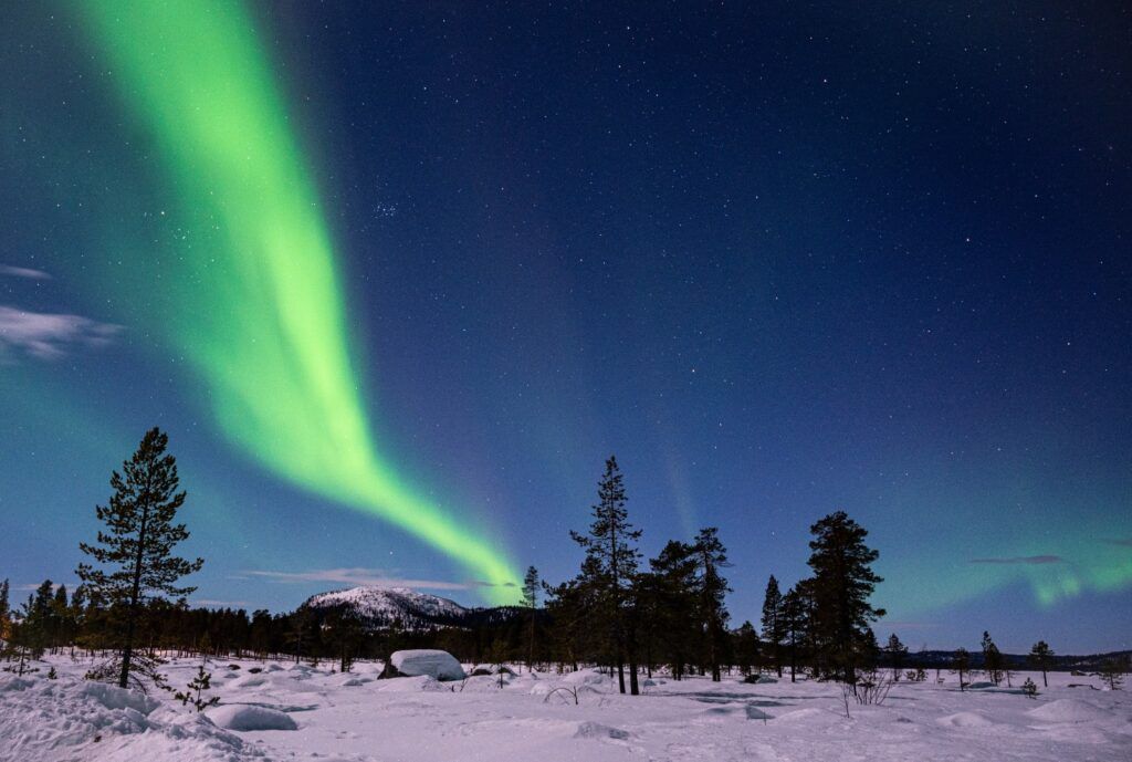 Helle grüne Nordlichter (Aurora Borealis) über verschneiter Landschaft und Kiefern in Lappland.
