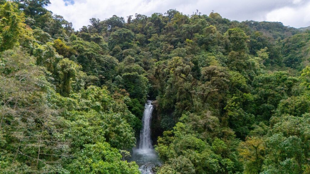 Blick aus der Ferne auf einen majestätischen Wasserfall, der inmitten des dichten, grünen Regenwaldes in den La Paz Waterfall Gardens in Costa Rica herabstürzt.