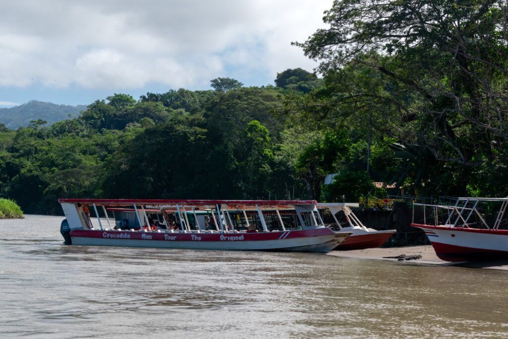 Mehrere Ausflugsboote für die 'Crocodile Man Tour' liegen am Ufer eines trüben Flusses vor einer dichten grünen Waldlandschaft.