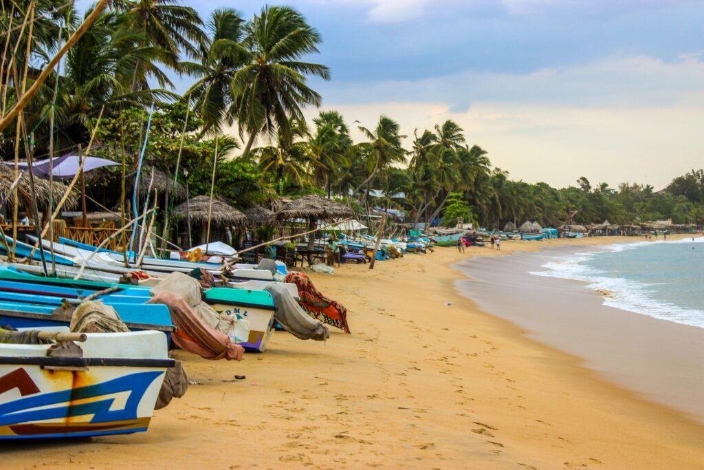 Bunte Fischerboote liegen aufgereiht am goldenen Sandstrand von Arugam Bay in Sri Lanka.