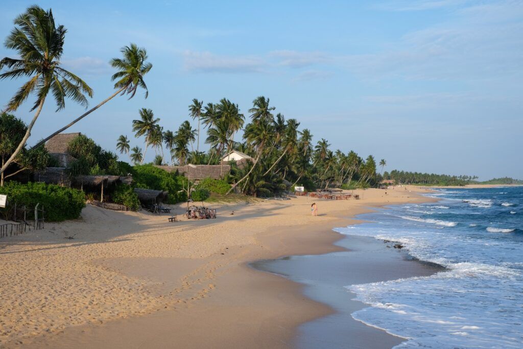 Ein einsamer goldener Sandstrand in Tangalle gesäumt von Palmen und traditionellen Fischerhütten.