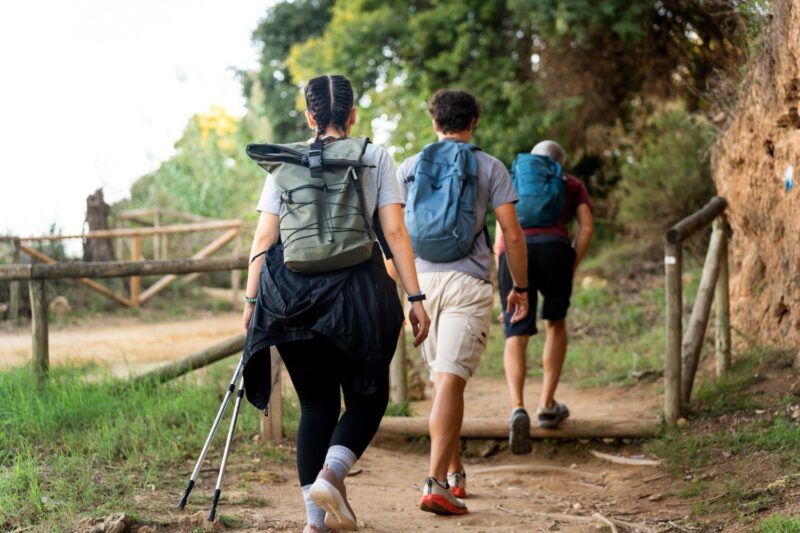 Rückansicht von drei Wanderern mit Rucksäcken auf einem sonnigen Pfad in der Natur.