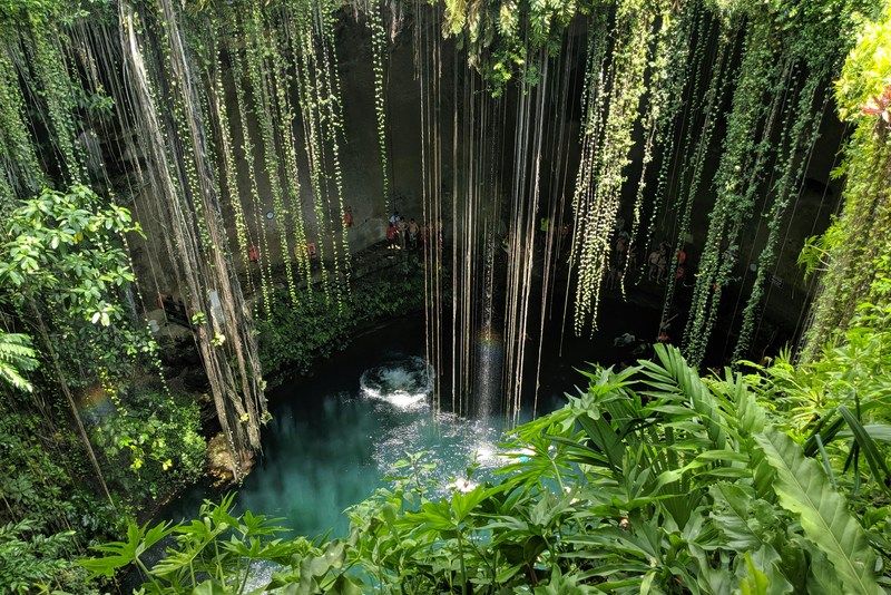 Cenote Ik Kil mit hängenden Lianen und üppiger Dschungelvegetation, Yucatán, Mexiko