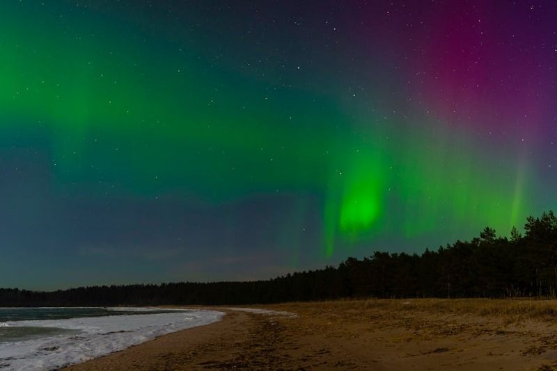 Gruen-lila Nordlicht ueber einem Sandstrand mit Nadelwald bei Nacht