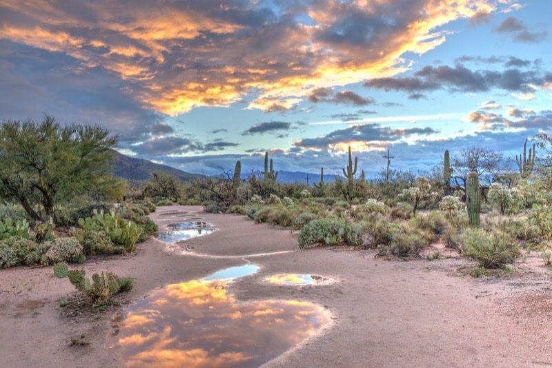 Arizona, Wustenpfad mit Kakteen und Wolken bei Sonnenuntergang