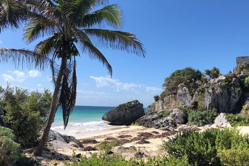 Weißer Sandstrand von Tulum mit Kokospalme im Vordergrund und Maya-Ruinen auf der Klippe im Hintergrund, Mexiko