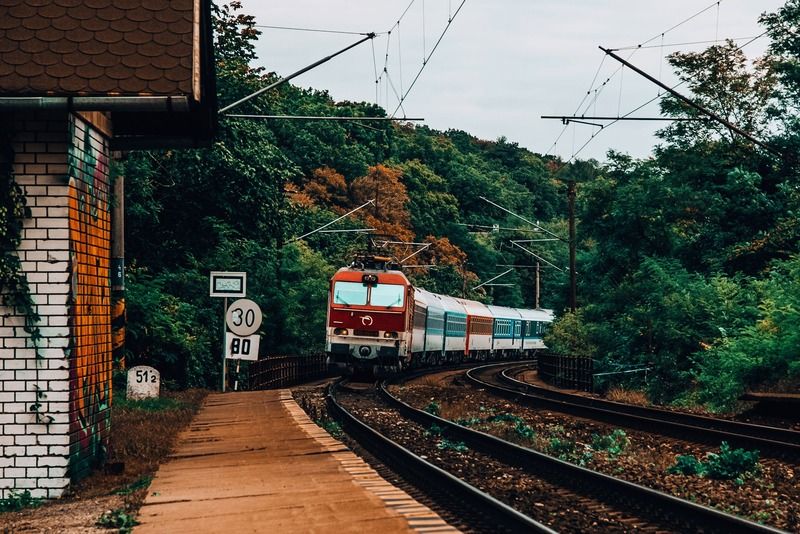 Roter und weißer Zug erreicht einen kleinen Bahnhof mitten im Wald