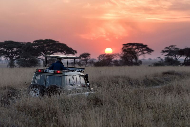 Ein Safari-Jeep mit einem Guide im Dachluk beobachtet den Sonnenuntergang über der Savanne Tansanias