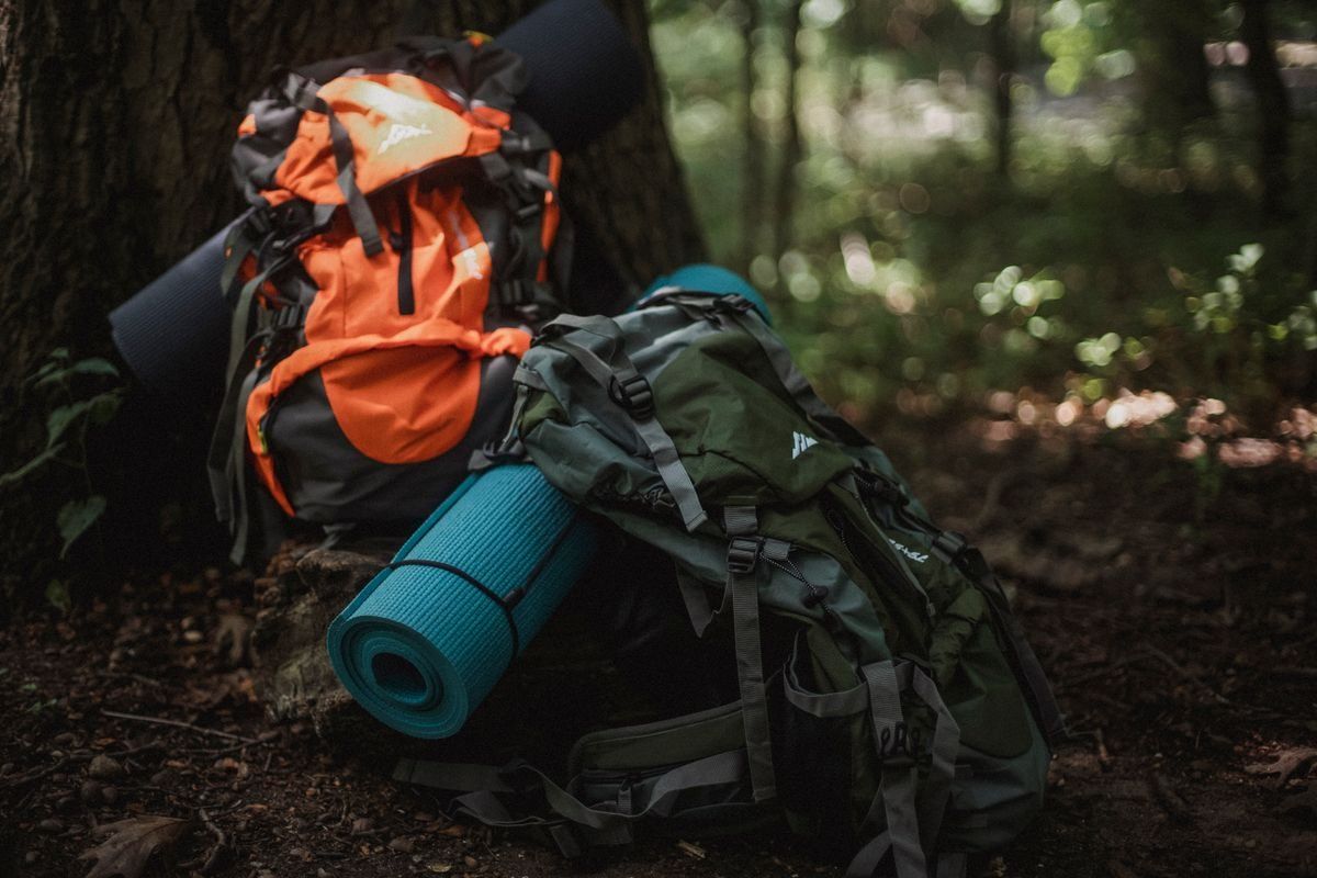 Zwei Wanderrucksäcke mit zusammengerollten Matten im Wald neben einem Baumstamm