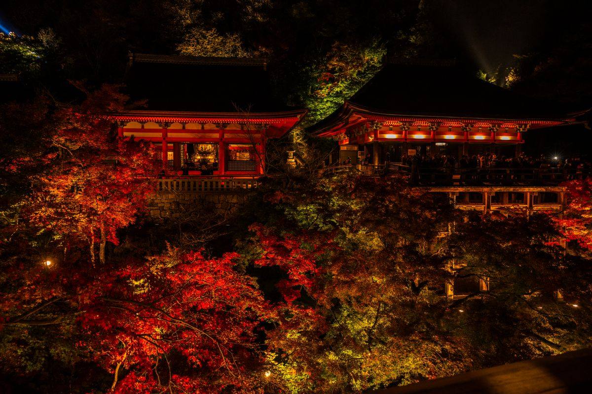 Beleuchtete Tempelgebäude über rot leuchtendem Herbstlaub bei Nacht