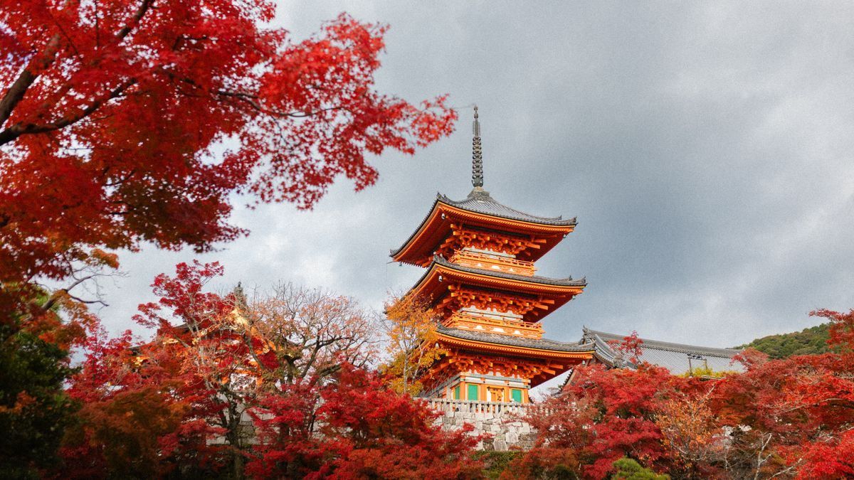 Kiyomizu-dera mit Pagode zwischen leuchtend roten Ahornbäumen unter grauem Himmel