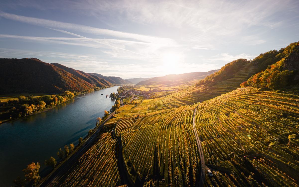 Luftaufnahme von Weinbergen im Herbst entlang eines Flusses bei Sonnenuntergang