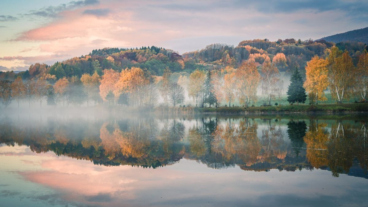 Nebel über einem stillen See mit Spiegelung herbstlicher Bäume bei Abendlicht