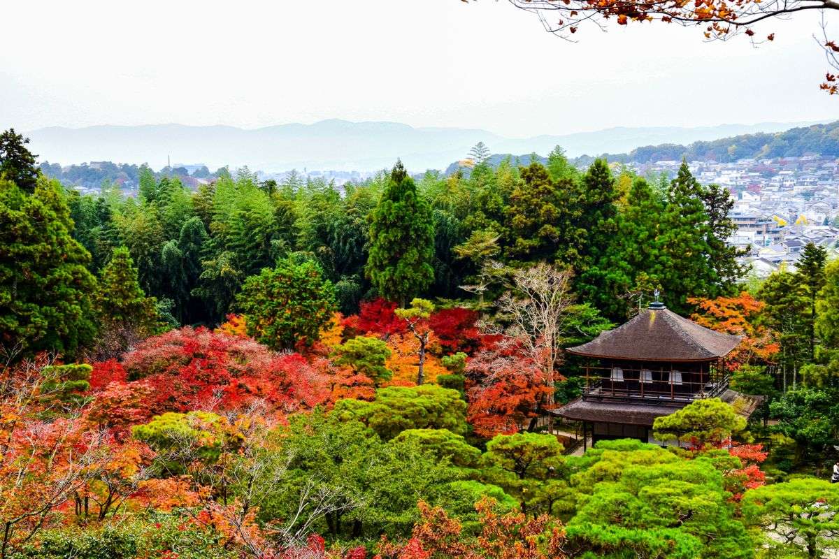 Tempelbau zwischen buntem Herbstlaub, grünen Bäumen und weiter Aussicht über Kyoto
